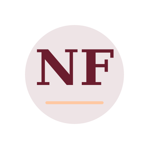 North Falls Air Duct Services logo